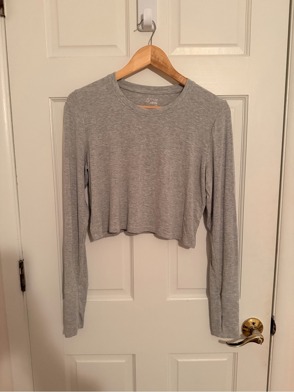 Cropped Long Sleeve Crewneck Top - Light Gray